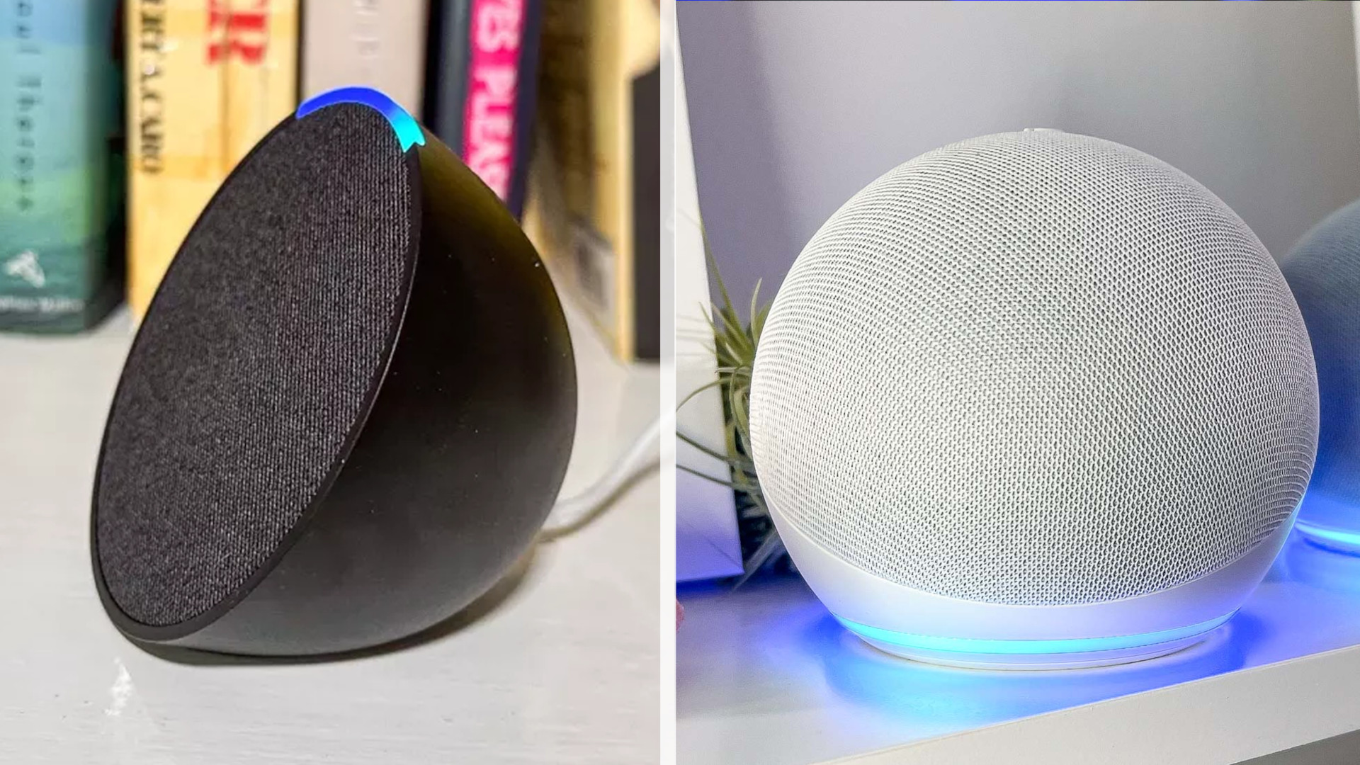 echo dot vs echo pop